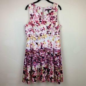 Maggy London Garden Print Dress